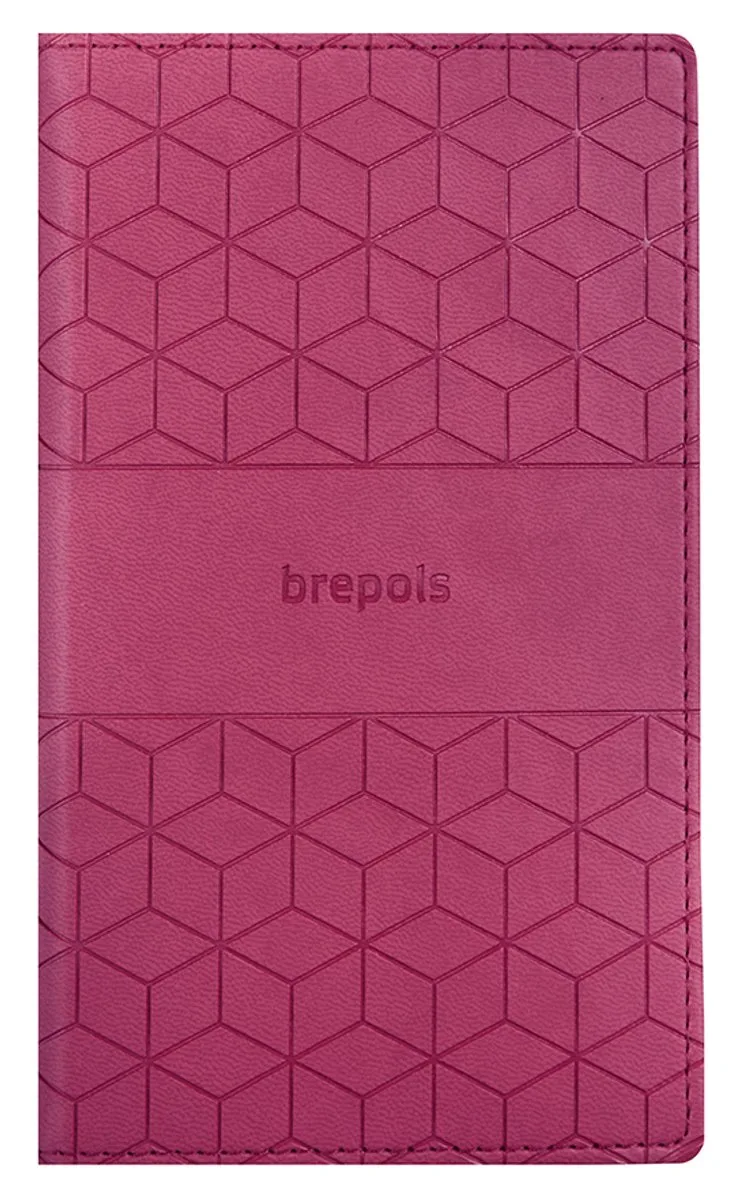 agenda 2027 - INTERPLAN [0.736] - CUBE + ABC - Zakagenda - 1 week op 2 pagina's - Weekoverzicht - Gespiraleerd - 9 x 16 cm de Brepols en Rose – photo produit