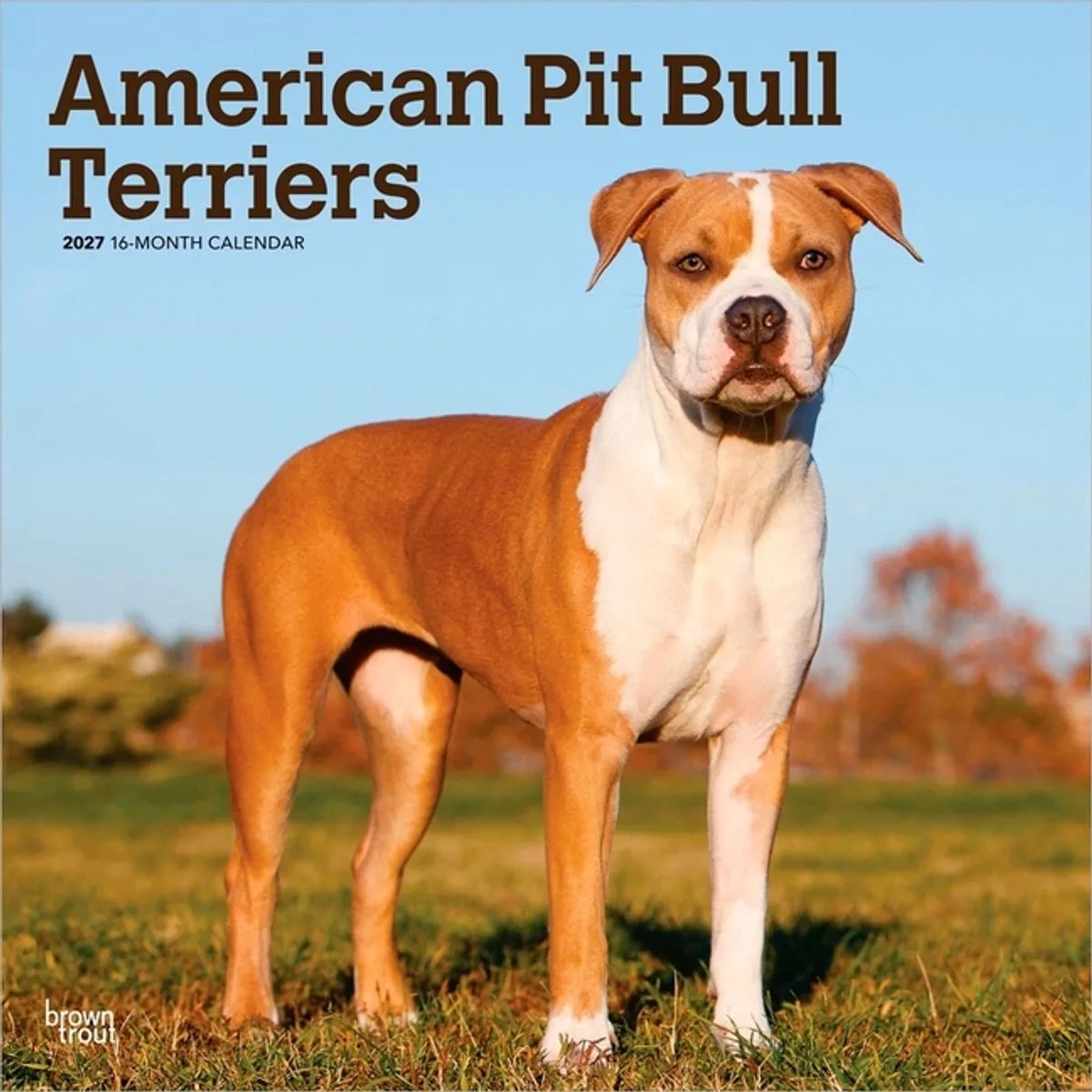 American Pit Bull Terrier Kalender 2027 van BrownTrout in Meerkleurig – productfoto
