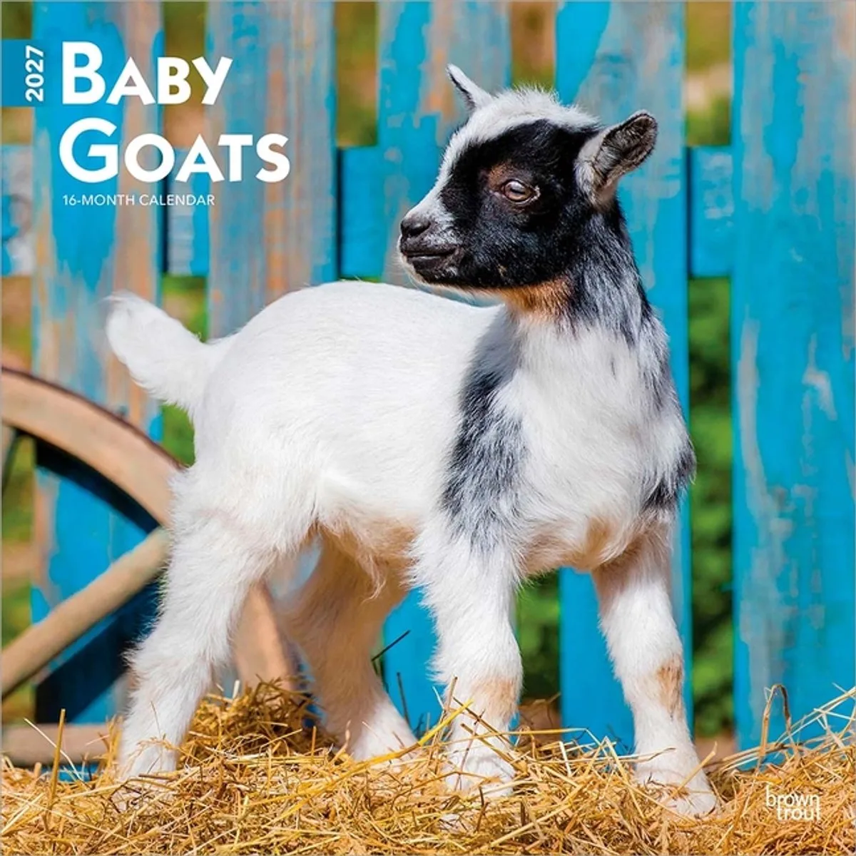 Baby Geitjes Kalender 2027 by BrownTrout – product photo