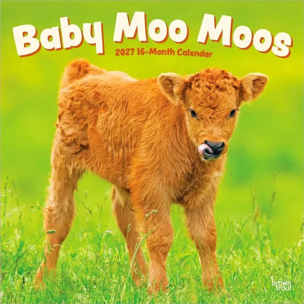 Baby Moo Moos Kalender 2027 van BrownTrout – productfoto