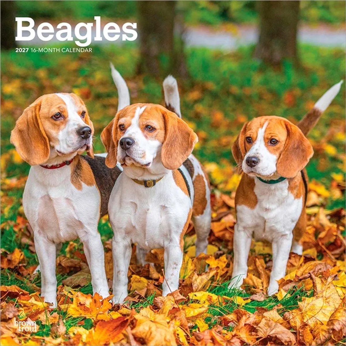 Beagle Kalender 2027 de BrownTrout en Multicolore – photo produit