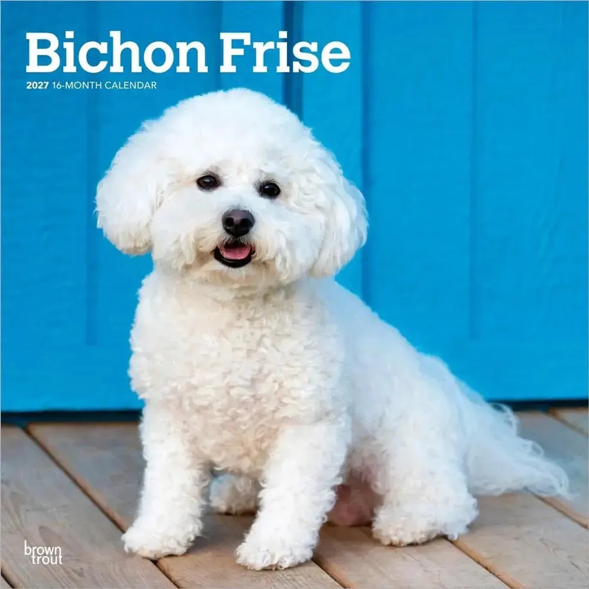 Bichon Frise Kalender 2027 van BrownTrout – productfoto
