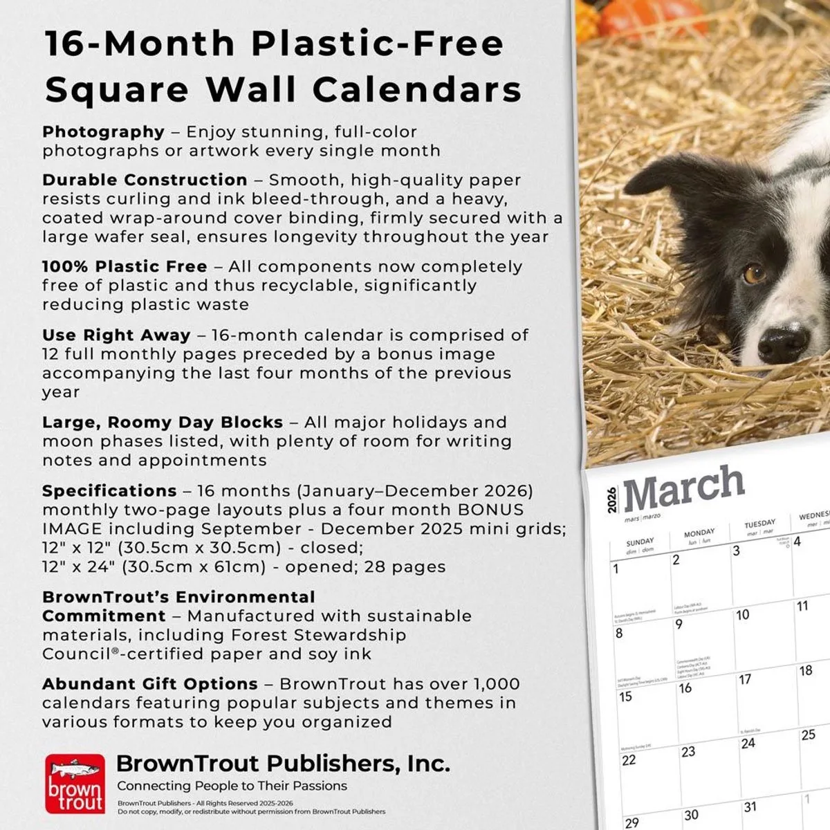 Border Collie Kalender 2026 by BrownTrout – product photo
