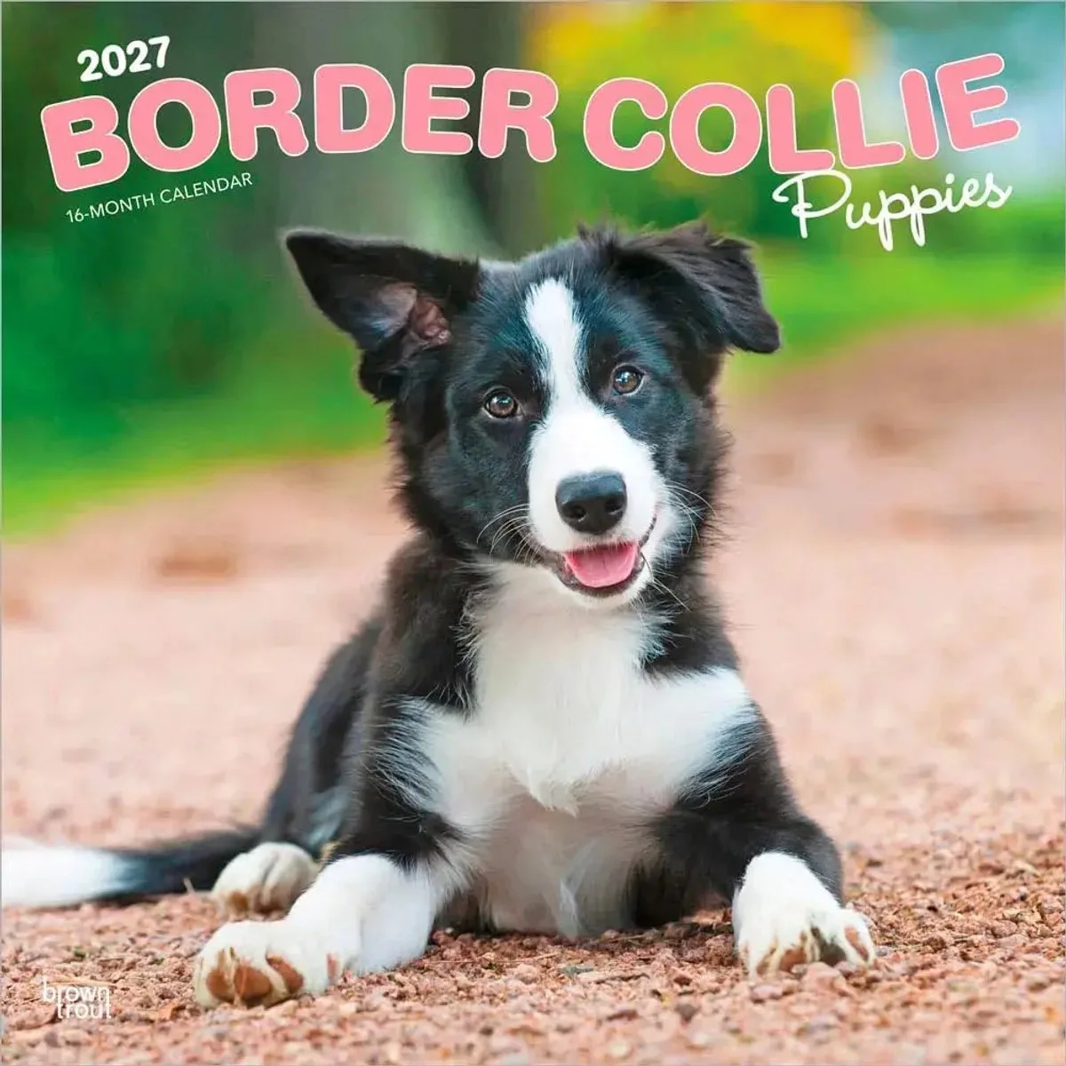 Border Collie Puppies Kalender 2027 van BrownTrout – productfoto