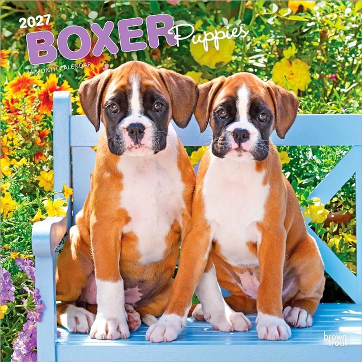 Boxer Puppies Kalender 2027 de BrownTrout – photo produit
