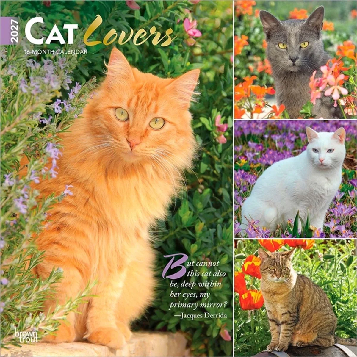 Cat Lovers Kalender 2027 de BrownTrout – photo produit
