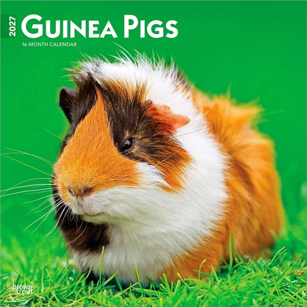 Cavia Kalender 2027 de BrownTrout en Marron – photo produit