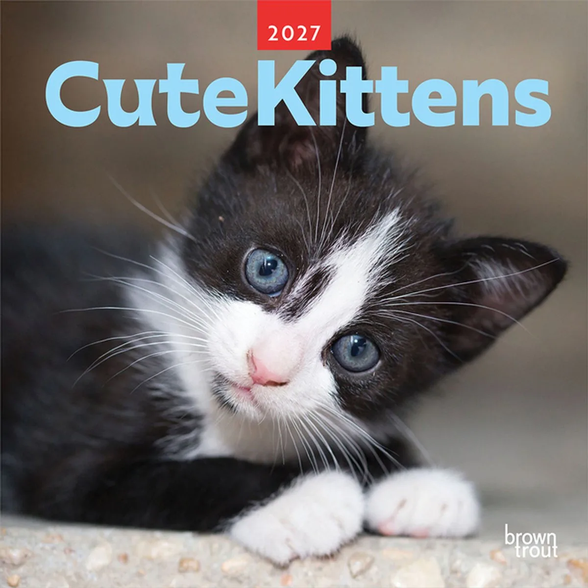 Cute Kittens Kalender 2027 de BrownTrout – photo produit
