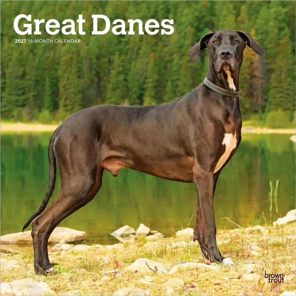 Duitse Dog Kalender 2027 van BrownTrout – productfoto