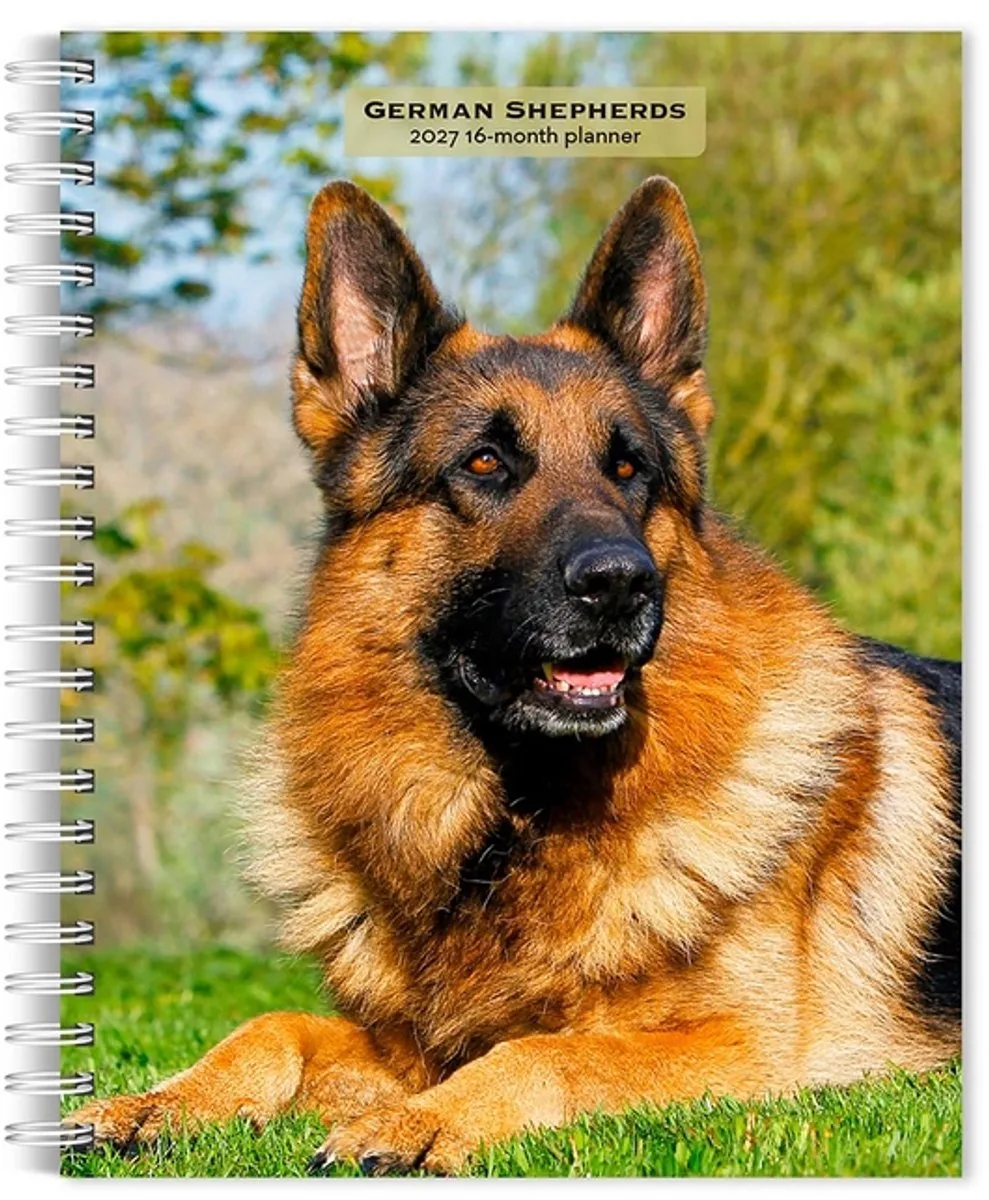 Duitse Herder Agenda 2027 van BrownTrout – productfoto