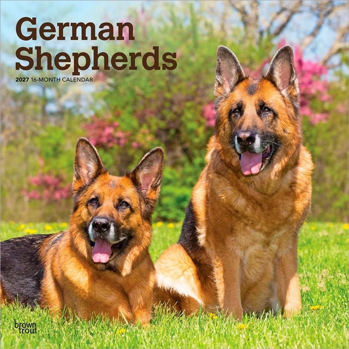 Duitse Herder Kalender 2027 de BrownTrout – photo produit