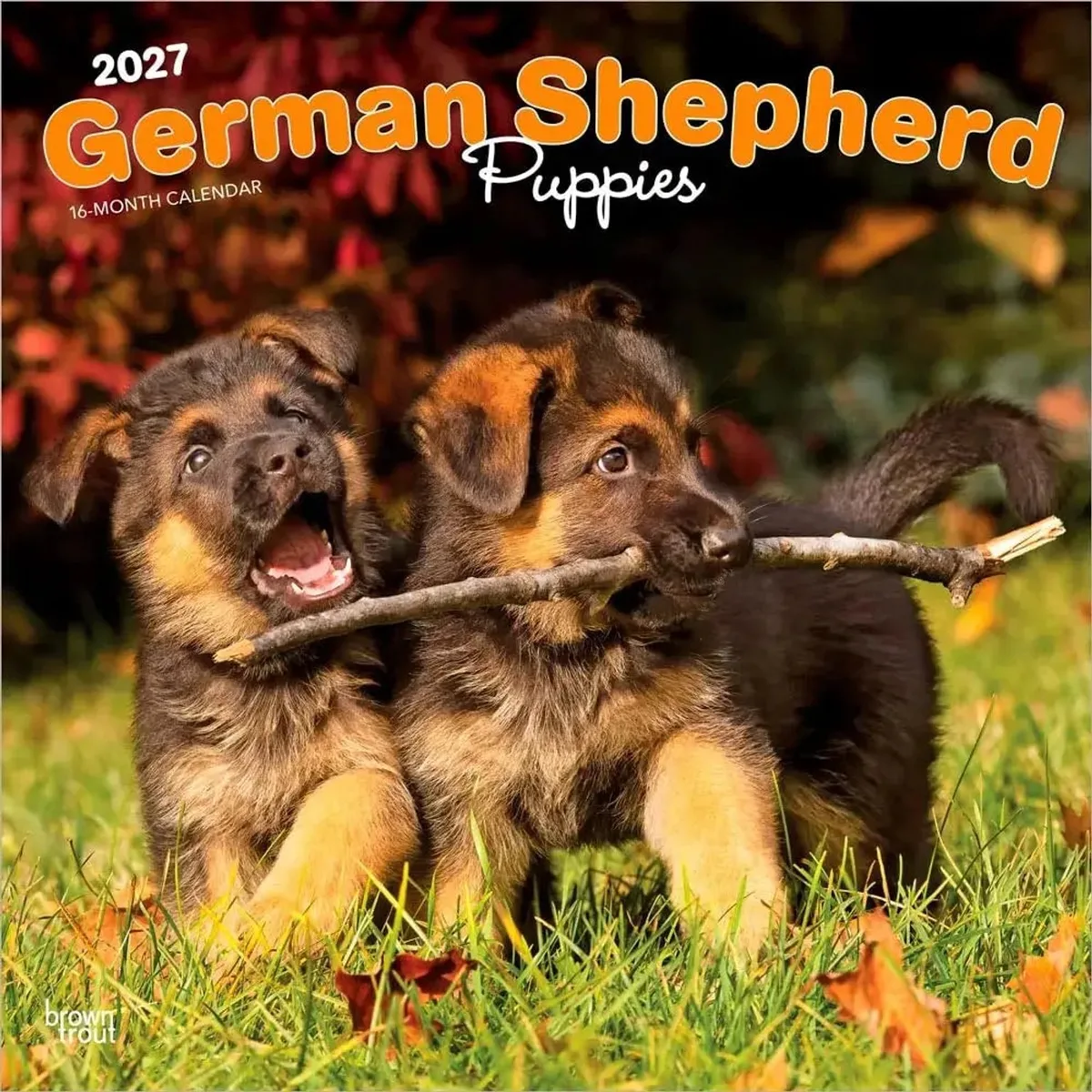 Duitse Herder Puppies Kalender 2027 von BrownTrout – Produktfoto