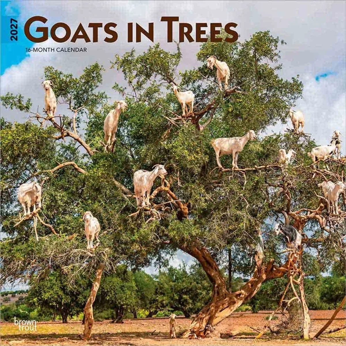 Goats in Trees Kalender 2027 van BrownTrout – productfoto