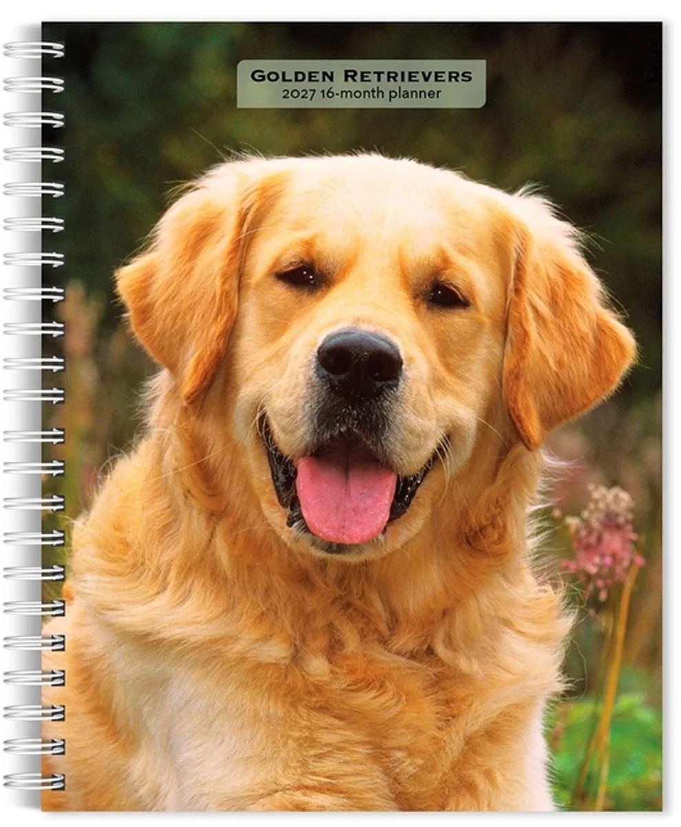 Golden Retriever Agenda 2027 by BrownTrout in Gold – product photo