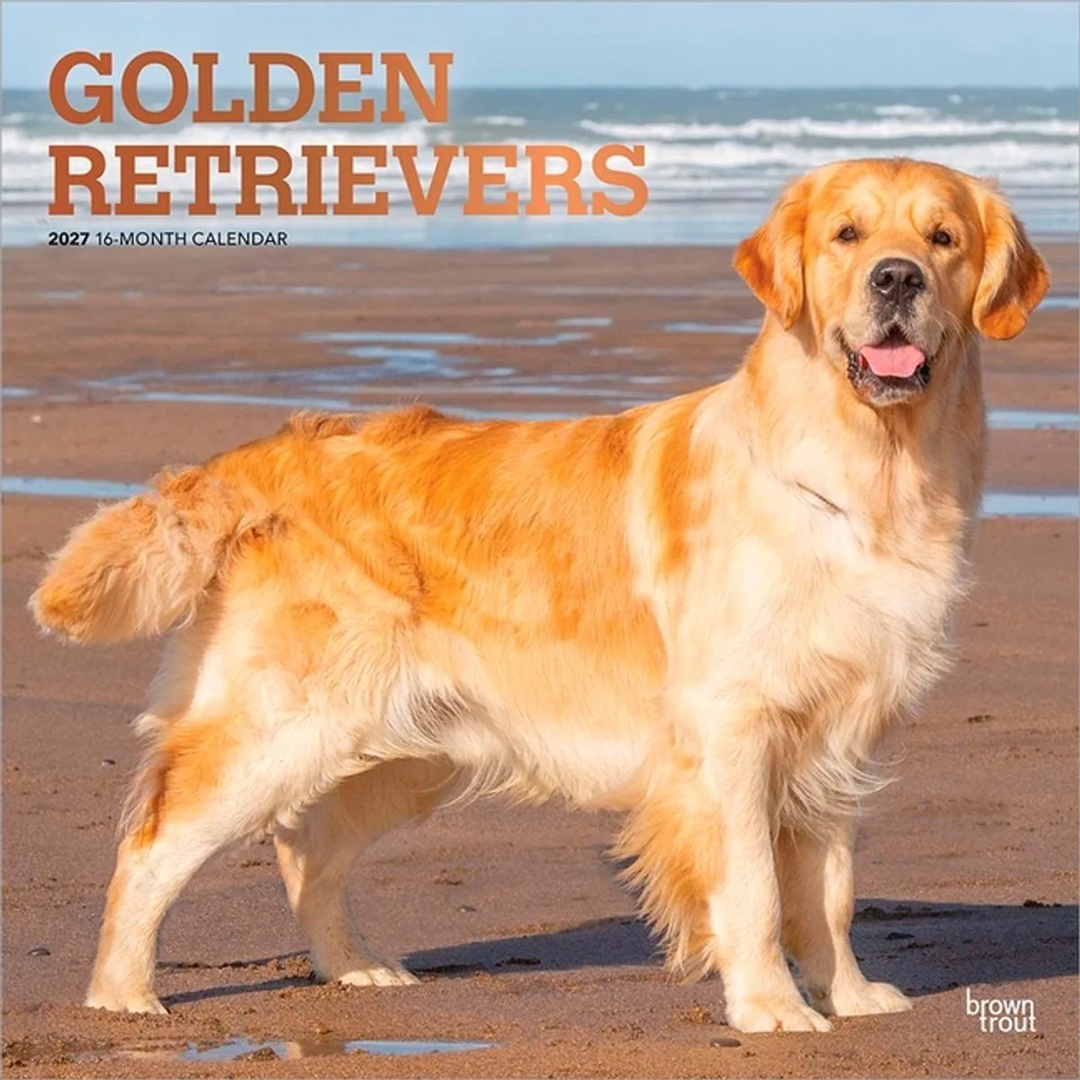 Golden Retriever Kalender 2027 by BrownTrout in Multicolour – product photo
