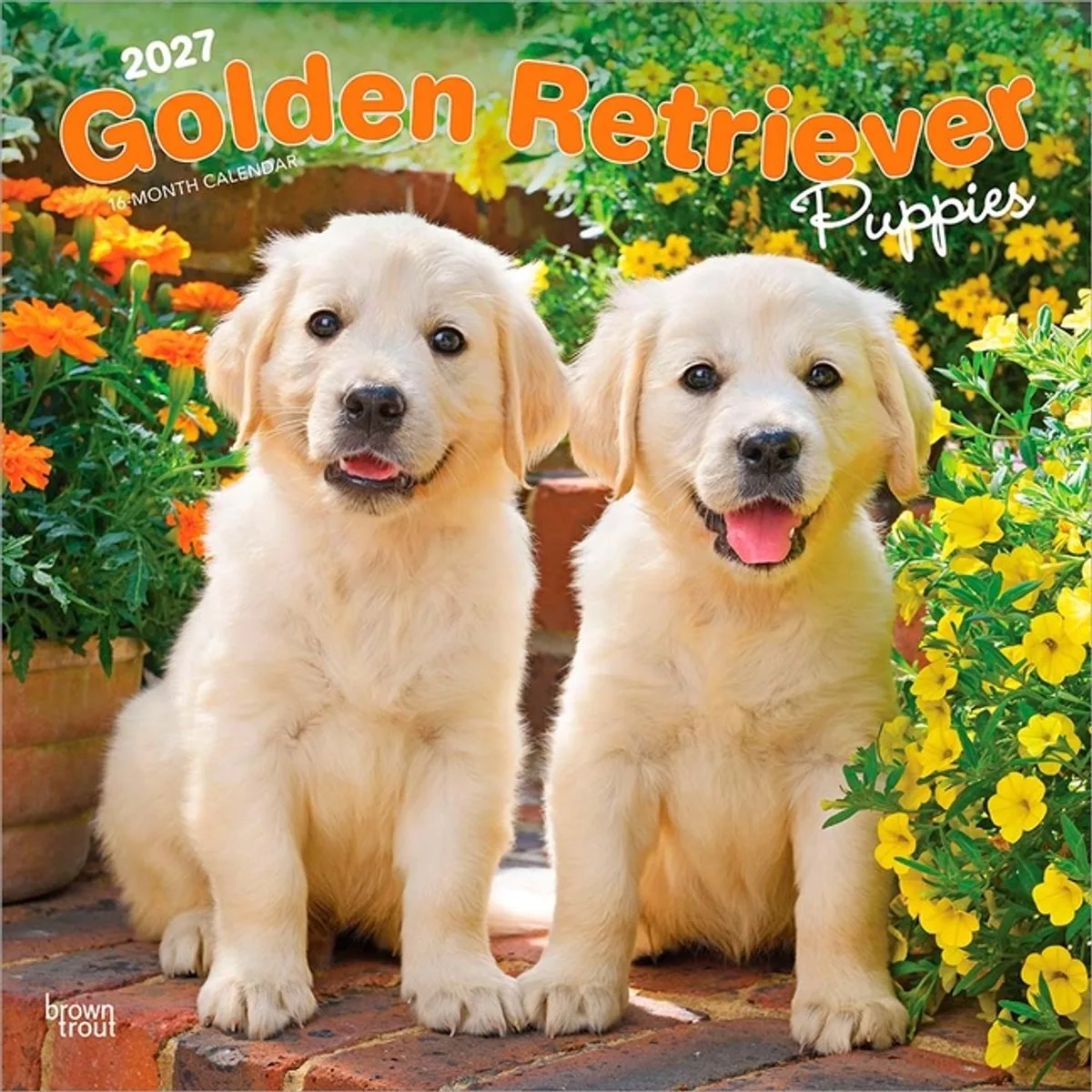 Golden Retriever Puppies Kalender 2027 de BrownTrout en Blanc – photo produit