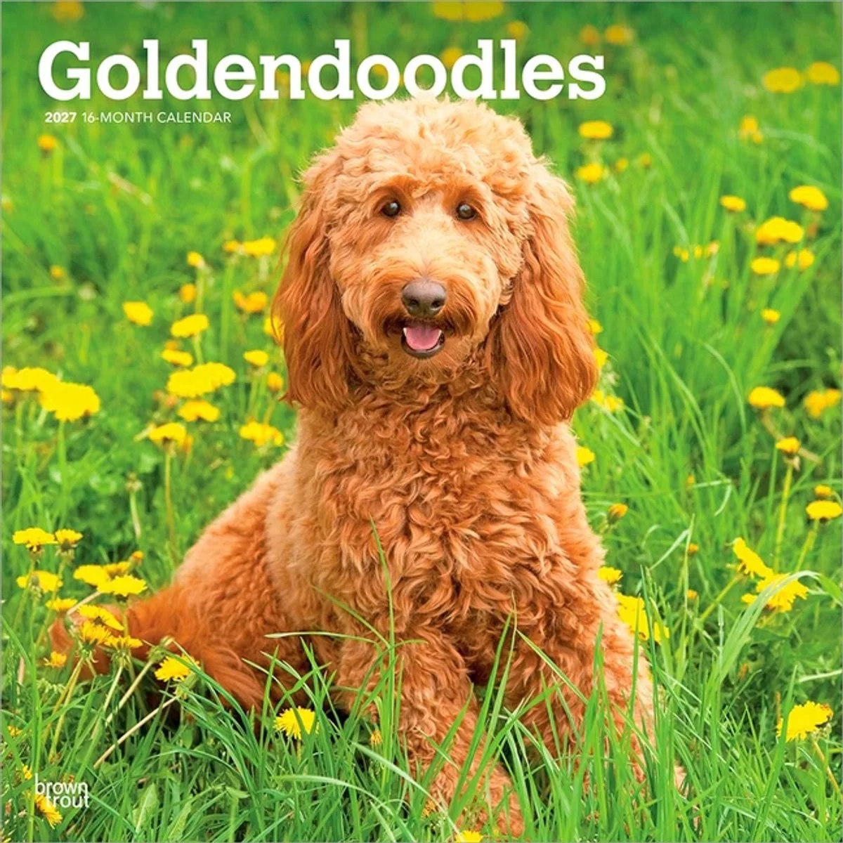 Goldendoodle Kalender 2027 van BrownTrout – productfoto