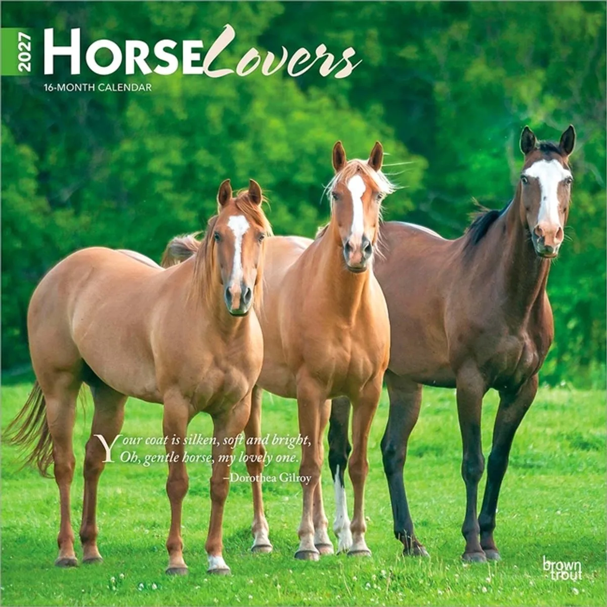Horse Lovers Kalender 2027 de BrownTrout – photo produit
