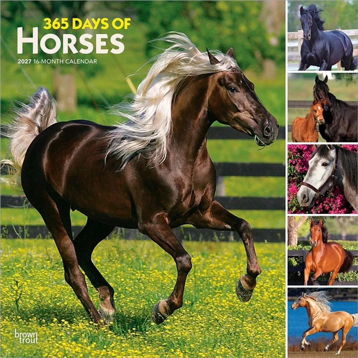 I Love Horses 365 Days Kalender 2027 van BrownTrout – productfoto