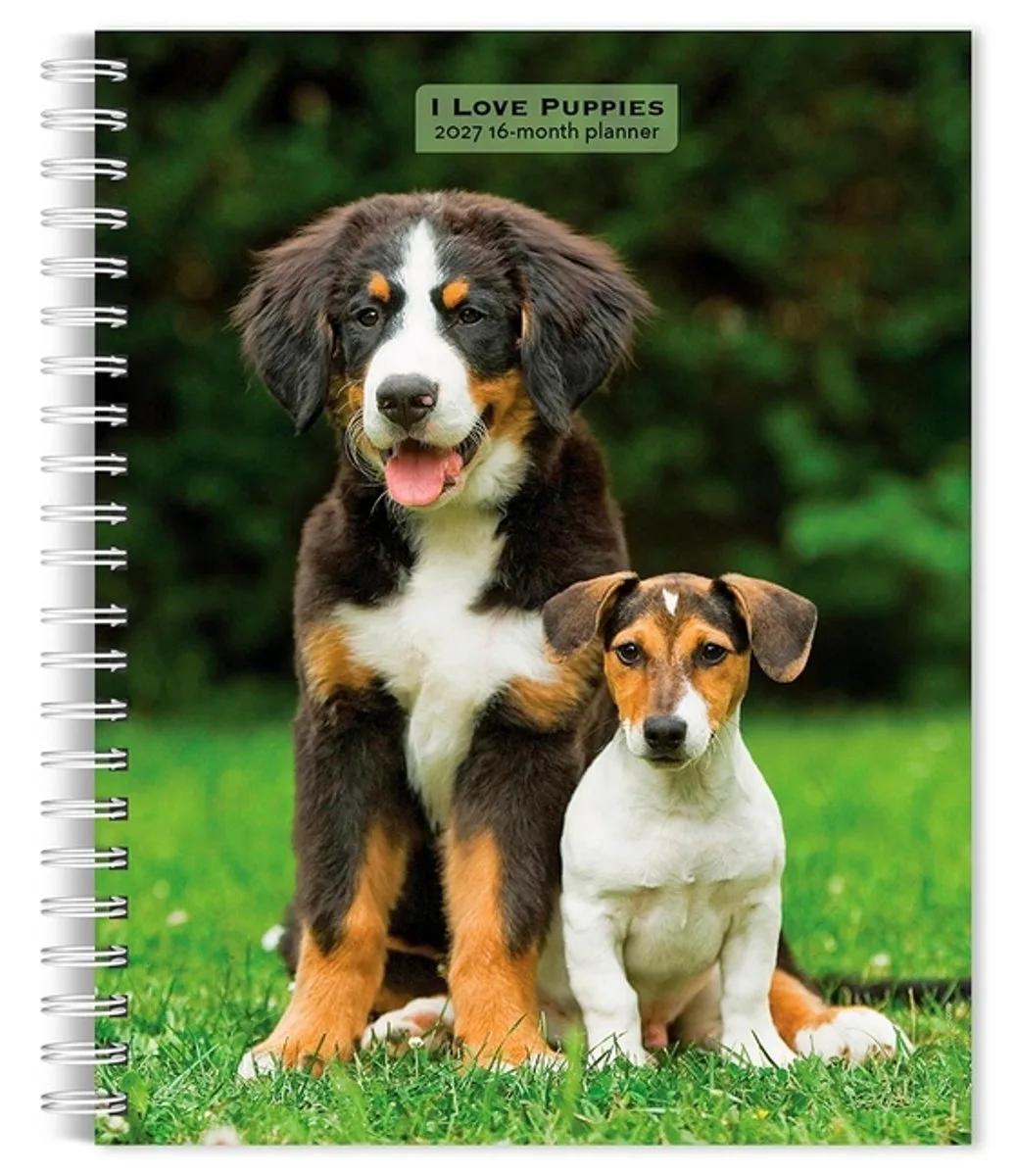 I Love Puppies Agenda 2027 by BrownTrout in Multicolour – product photo