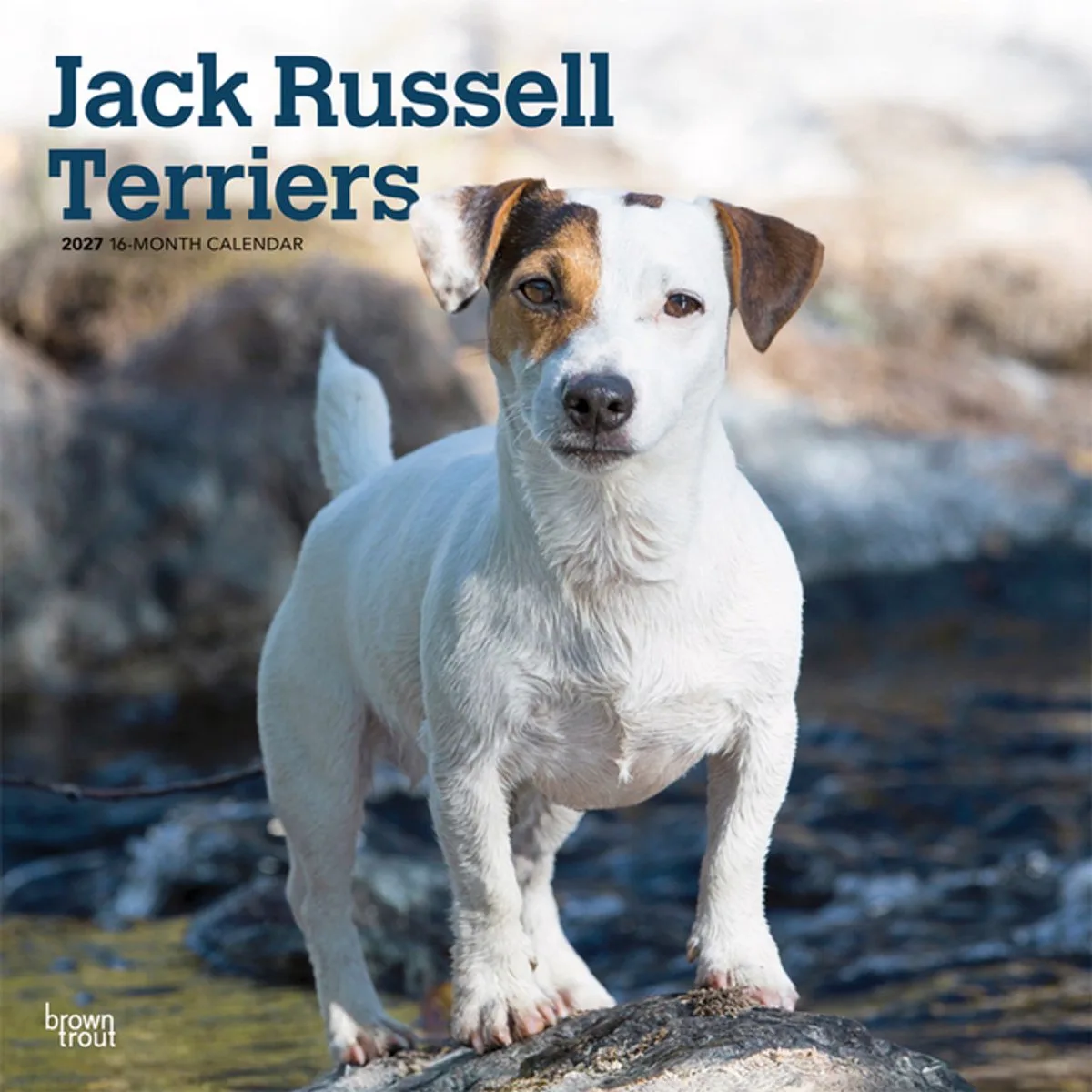 Jack Russell Terrier Kalender 2027 van BrownTrout – productfoto