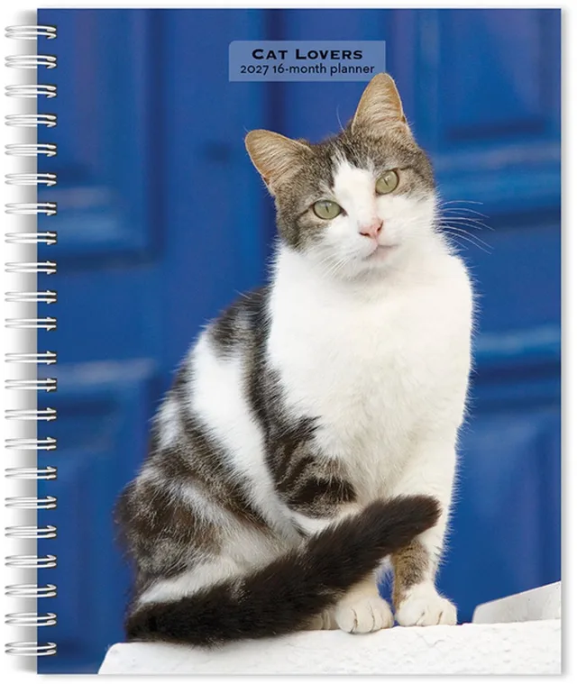 Katten Agenda 2027