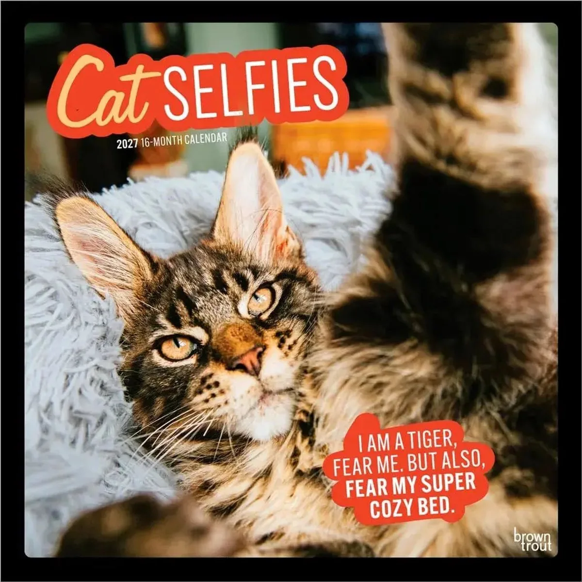 Katten Selfies Kalender 2027 de BrownTrout – photo produit