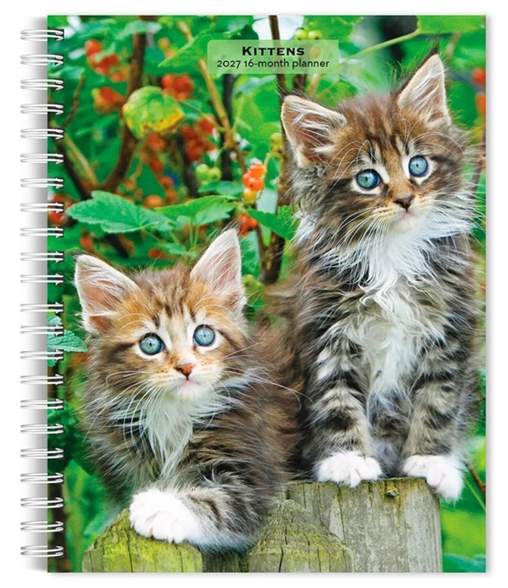Kittens Agenda 2027 de BrownTrout en Multicolore – photo produit