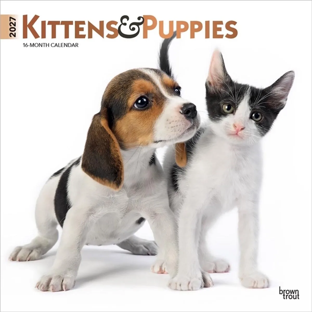 Kittens and Puppies Kalender 2027 de BrownTrout en Multicolore – photo produit