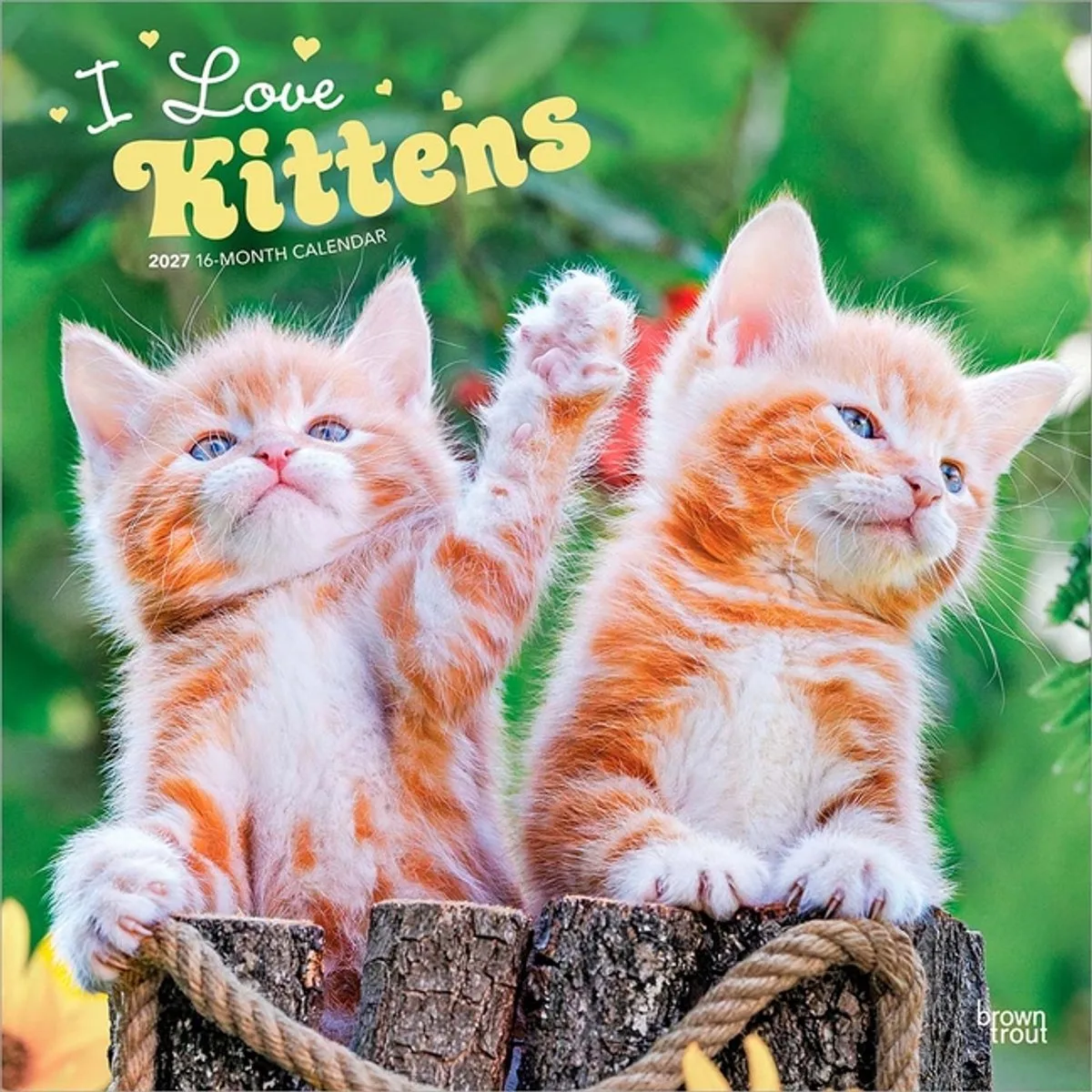 Kittens Kalender 2027 de BrownTrout en Multicolore – photo produit