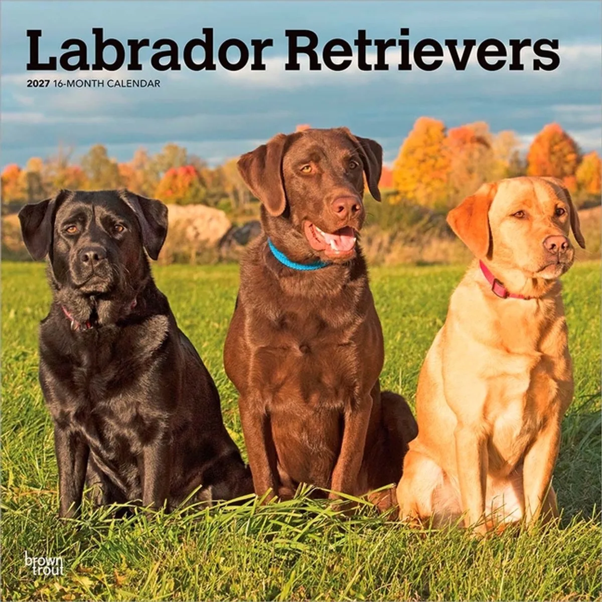 Labrador Retriever Mixed Kalender 2027 van BrownTrout in Meerkleurig – productfoto