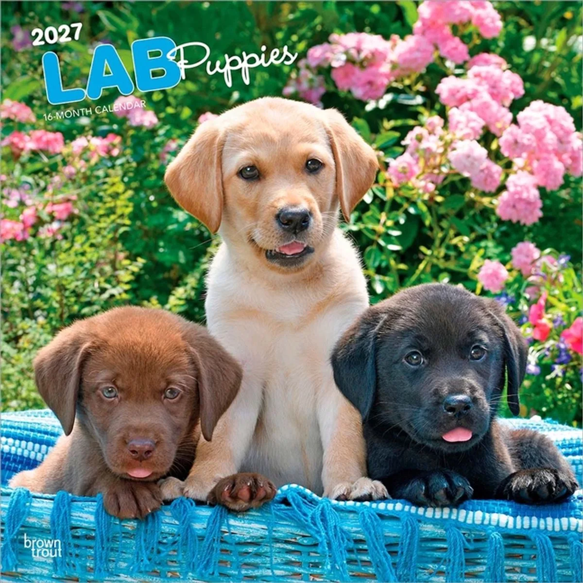 Labrador Retriever Puppies Kalender 2027 von BrownTrout – Produktfoto