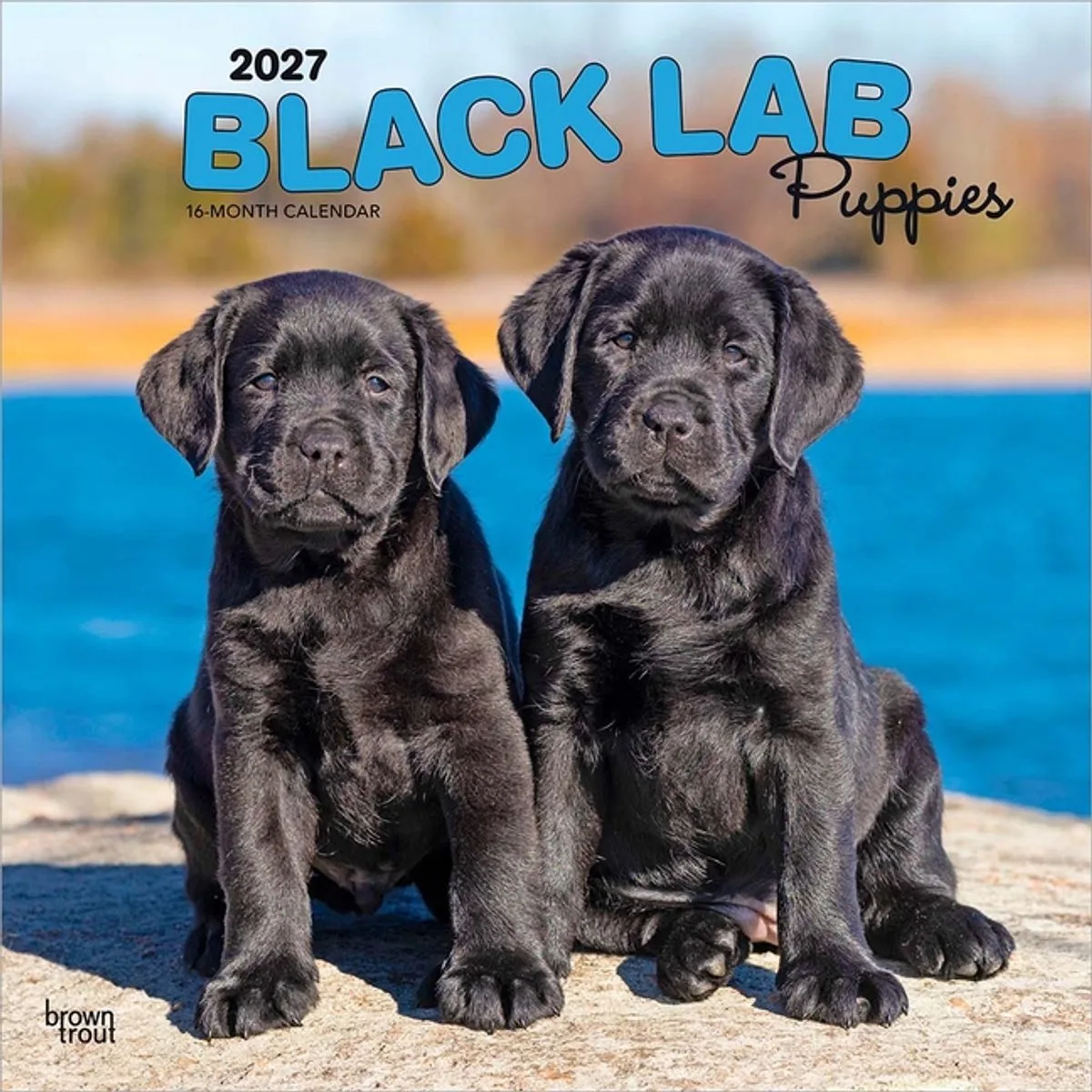 Labrador Retriever Zwart Puppies Kalender 2027 de BrownTrout – photo produit
