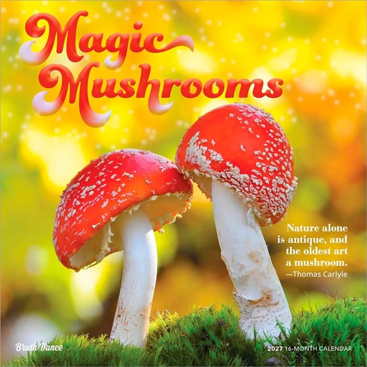 Magische Paddenstoelen Kalender 2027 van BrownTrout in Meerkleurig – productfoto