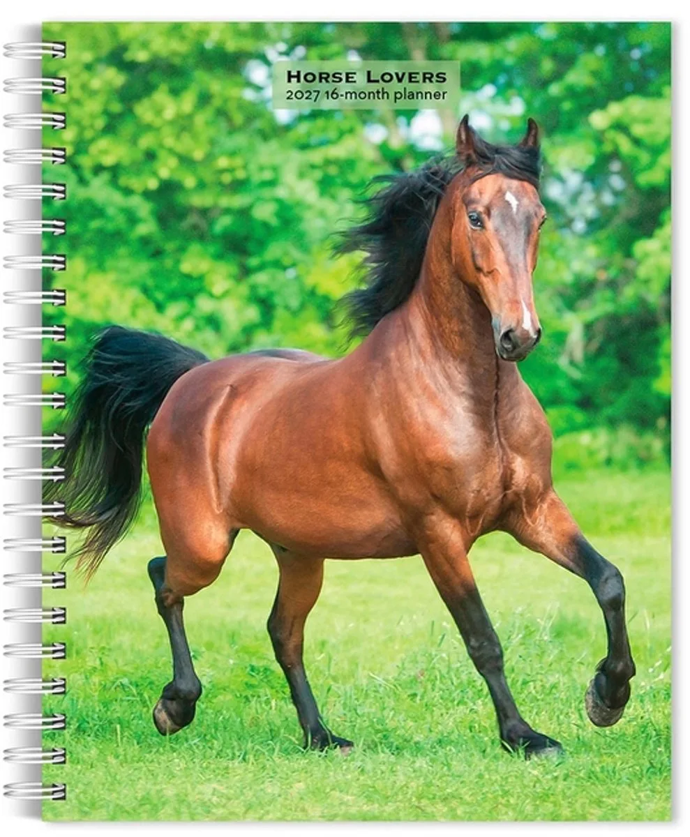Paarden Agenda 2027 de BrownTrout en Multicolore – photo produit