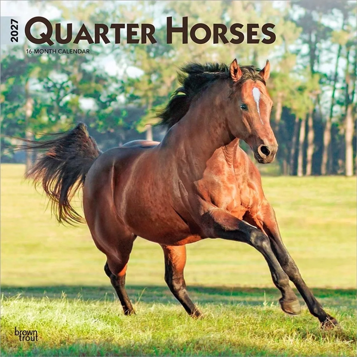 Quarter Horse Kalender 2027 von BrownTrout – Produktfoto
