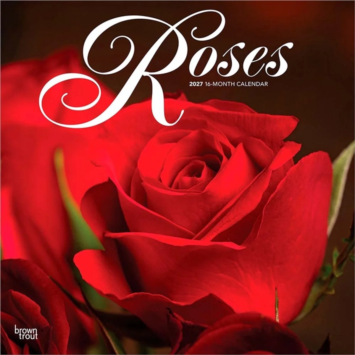 Roses Kalender 2027 de BrownTrout – photo produit