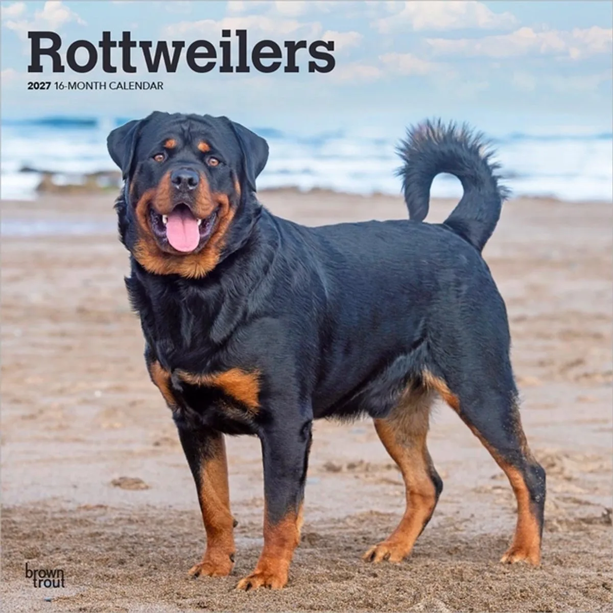 Rottweiler Kalender 2027 de BrownTrout – photo produit