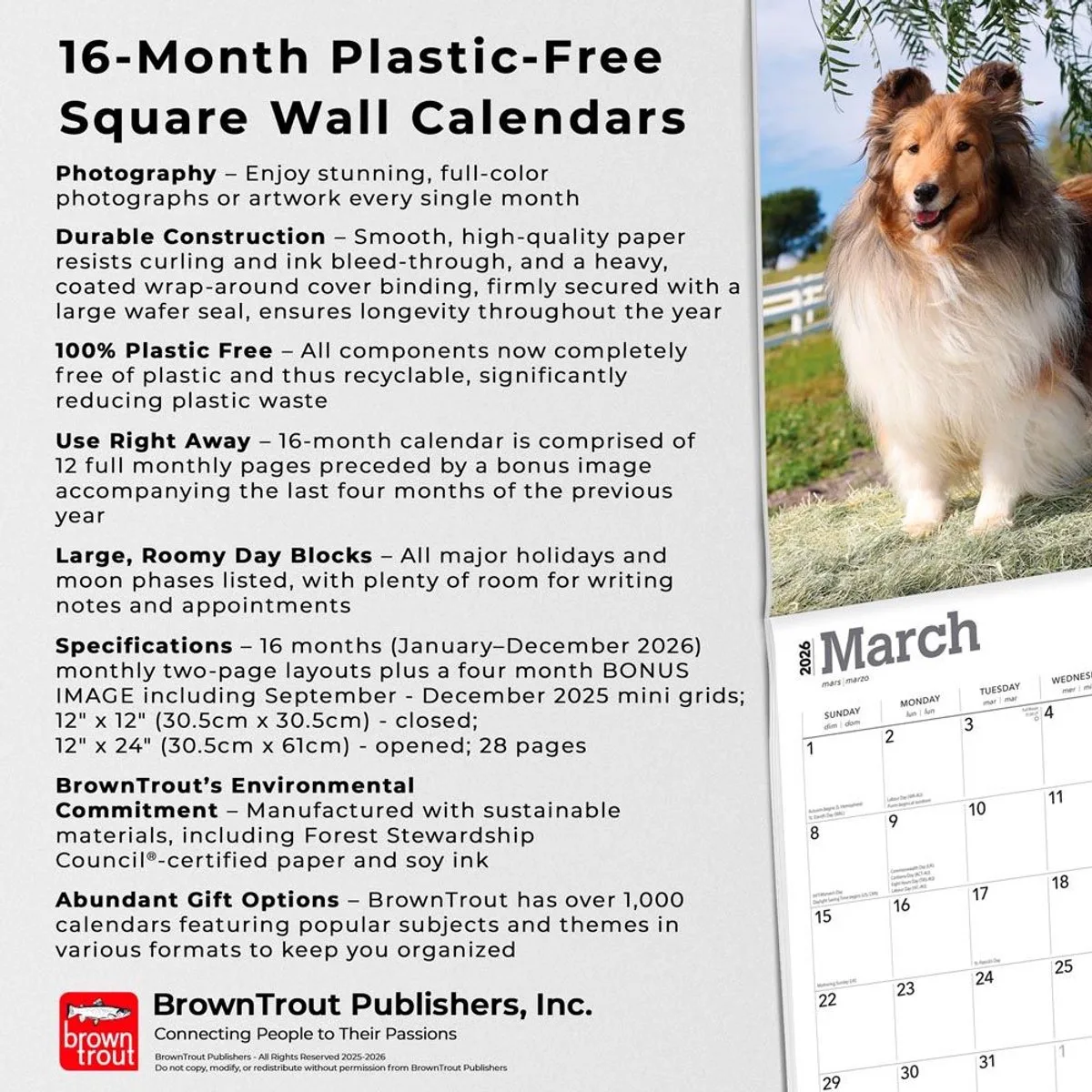 Sheltie - Shetland Sheepdog Kalender 2026 van BrownTrout – productfoto