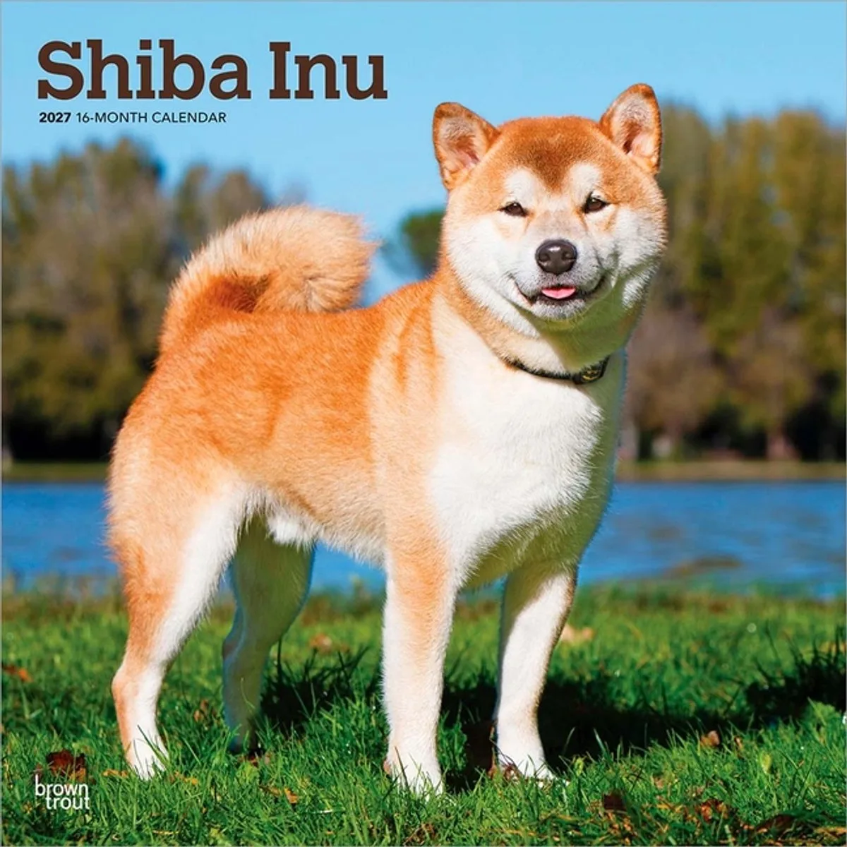 Shiba Inu Kalender 2027 de BrownTrout en Multicolore – photo produit