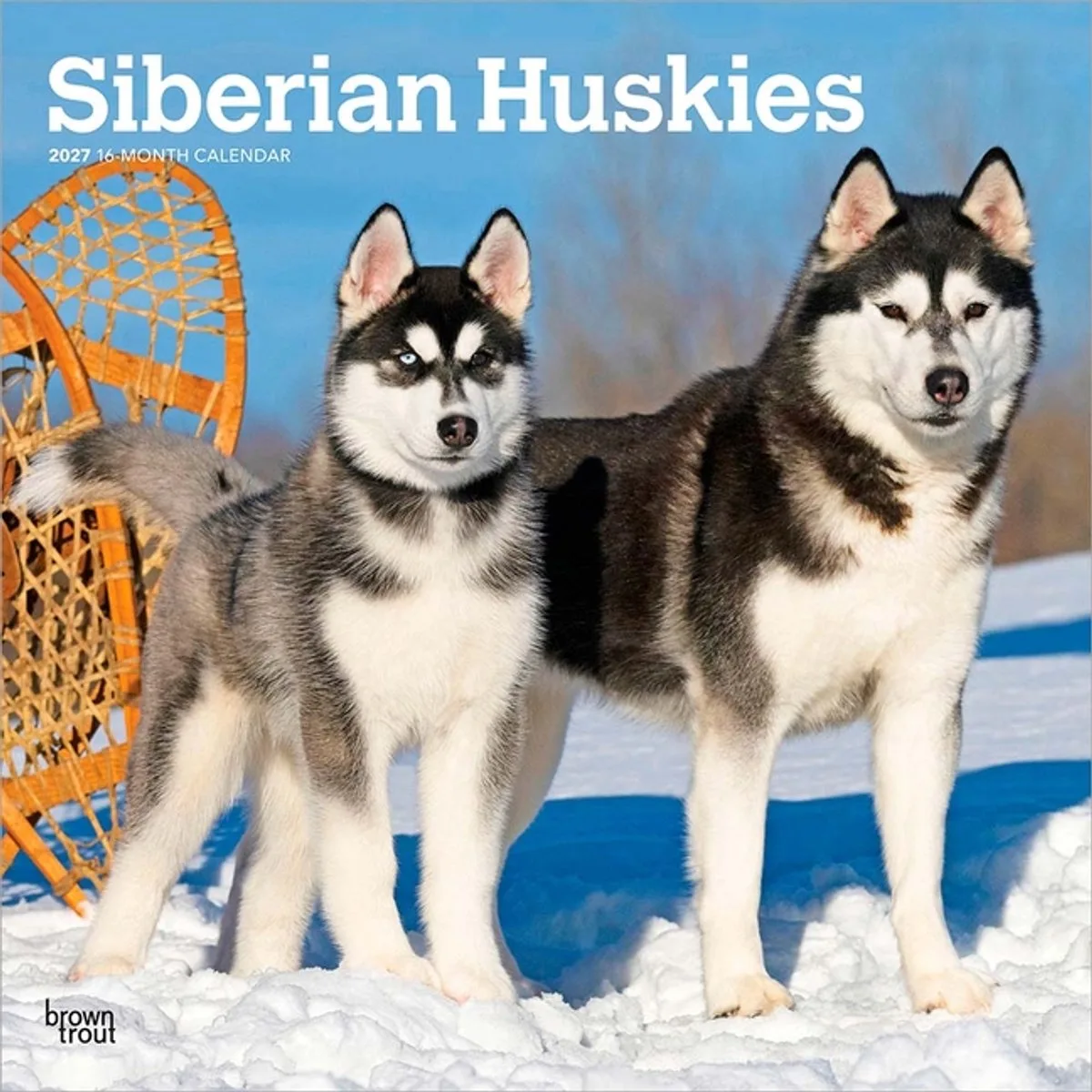 Siberian Husky Kalender 2027 van BrownTrout in Meerkleurig – productfoto