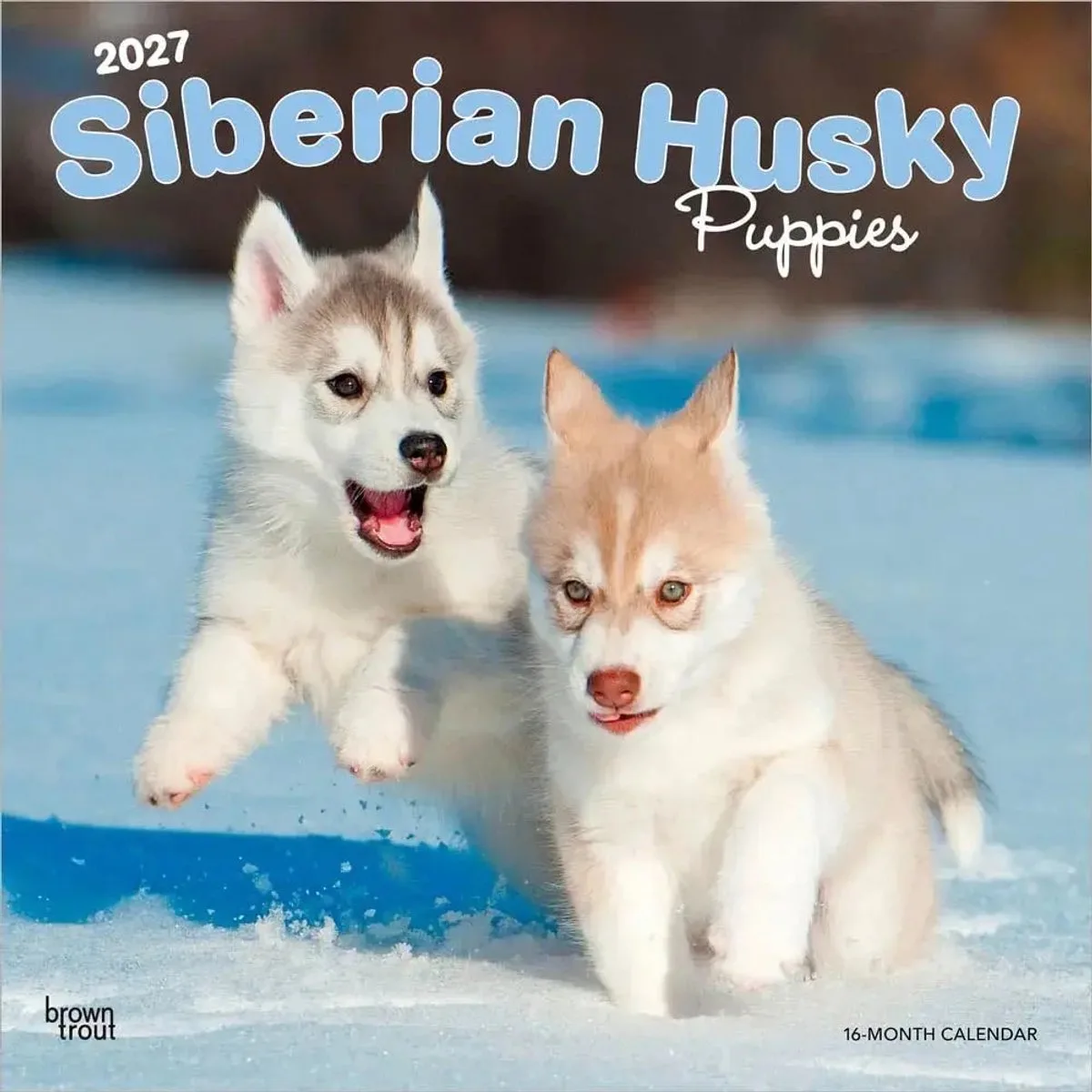 Siberian Husky Puppies Kalender 2027 de BrownTrout – photo produit