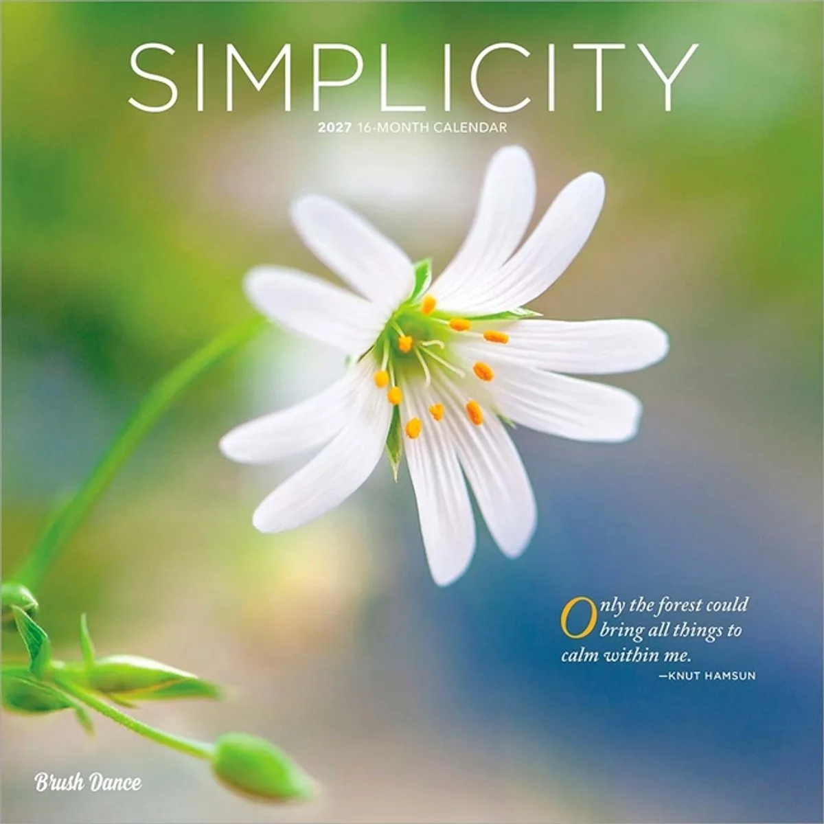 Simplicity Kalender 2027 de BrownTrout – photo produit