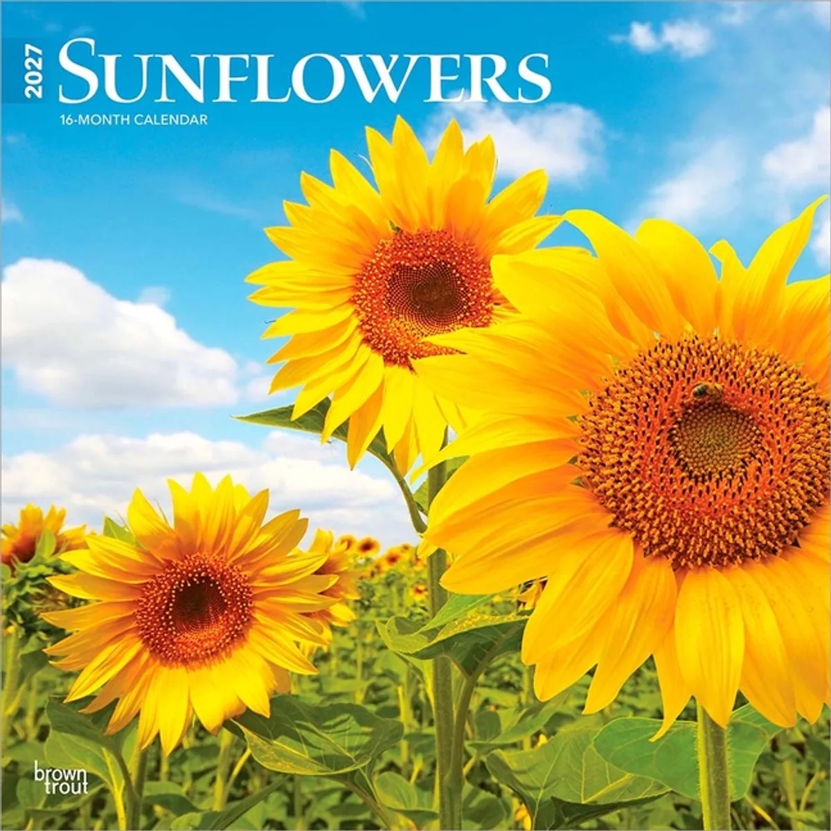 Sunflowers Kalender 2027 van BrownTrout in Groen – productfoto