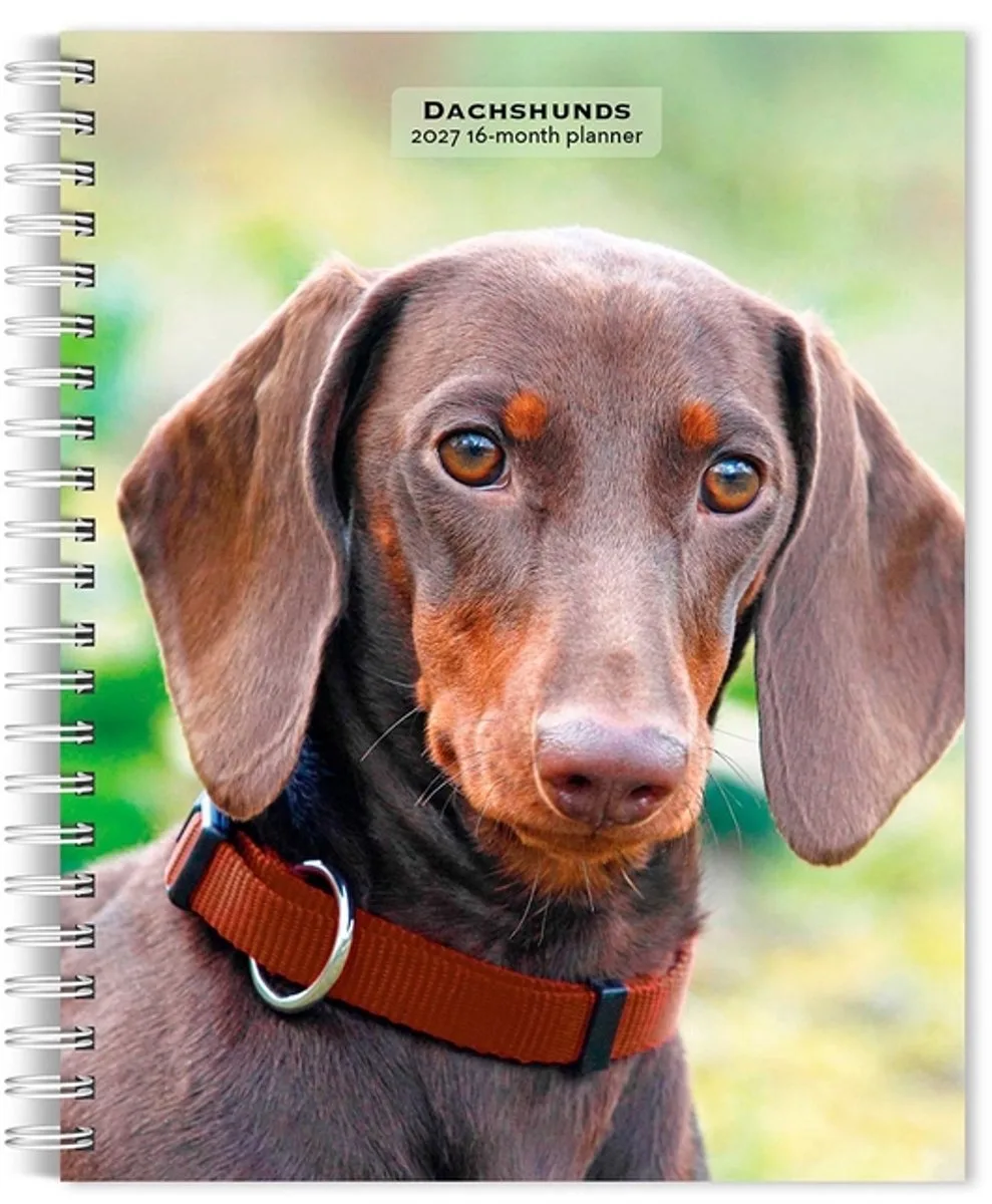 Teckel Agenda 2027 de BrownTrout en Multicolore – photo produit