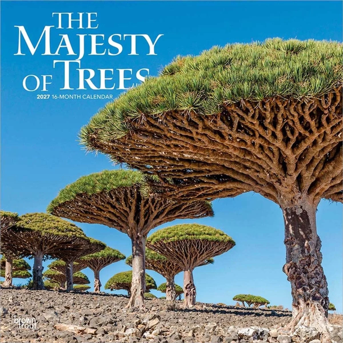 The Majesty of Trees Kalender 2027 de BrownTrout – photo produit