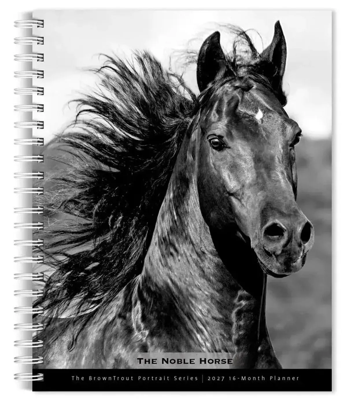 The Noble Horse Agenda 2027 de BrownTrout en Zwart-wit – photo produit