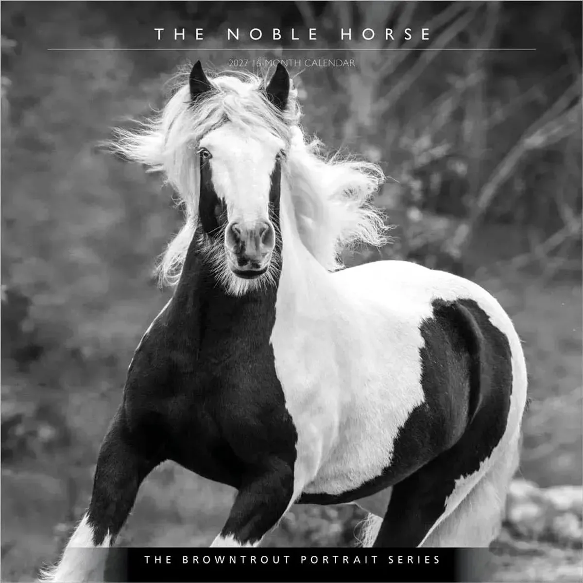 The Noble Horse Kalender 2027 de BrownTrout – photo produit