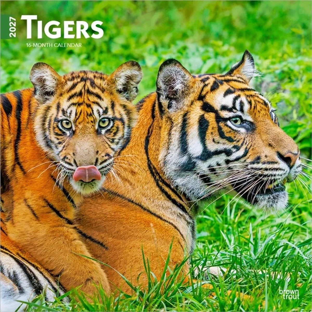 Tijger Kalender 2027 van BrownTrout – productfoto