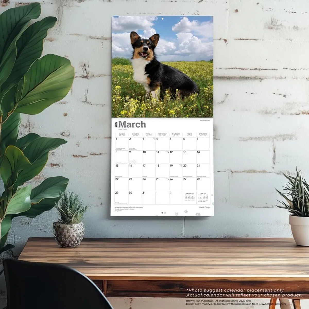 Welsh Corgi Kalender 2026 de BrownTrout – photo produit